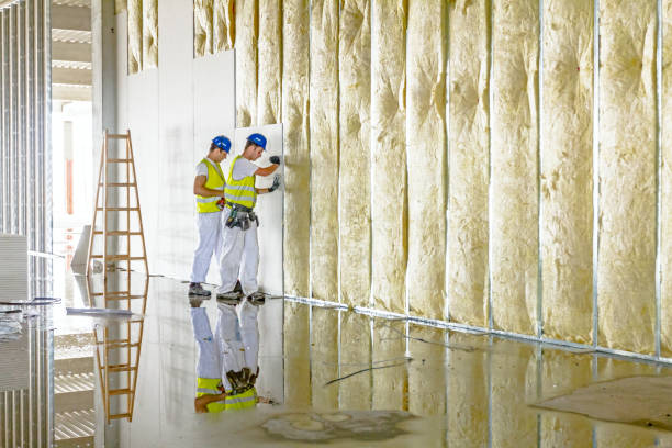 Best Insulation Maintenance and Repair in Trophy Clu, TX